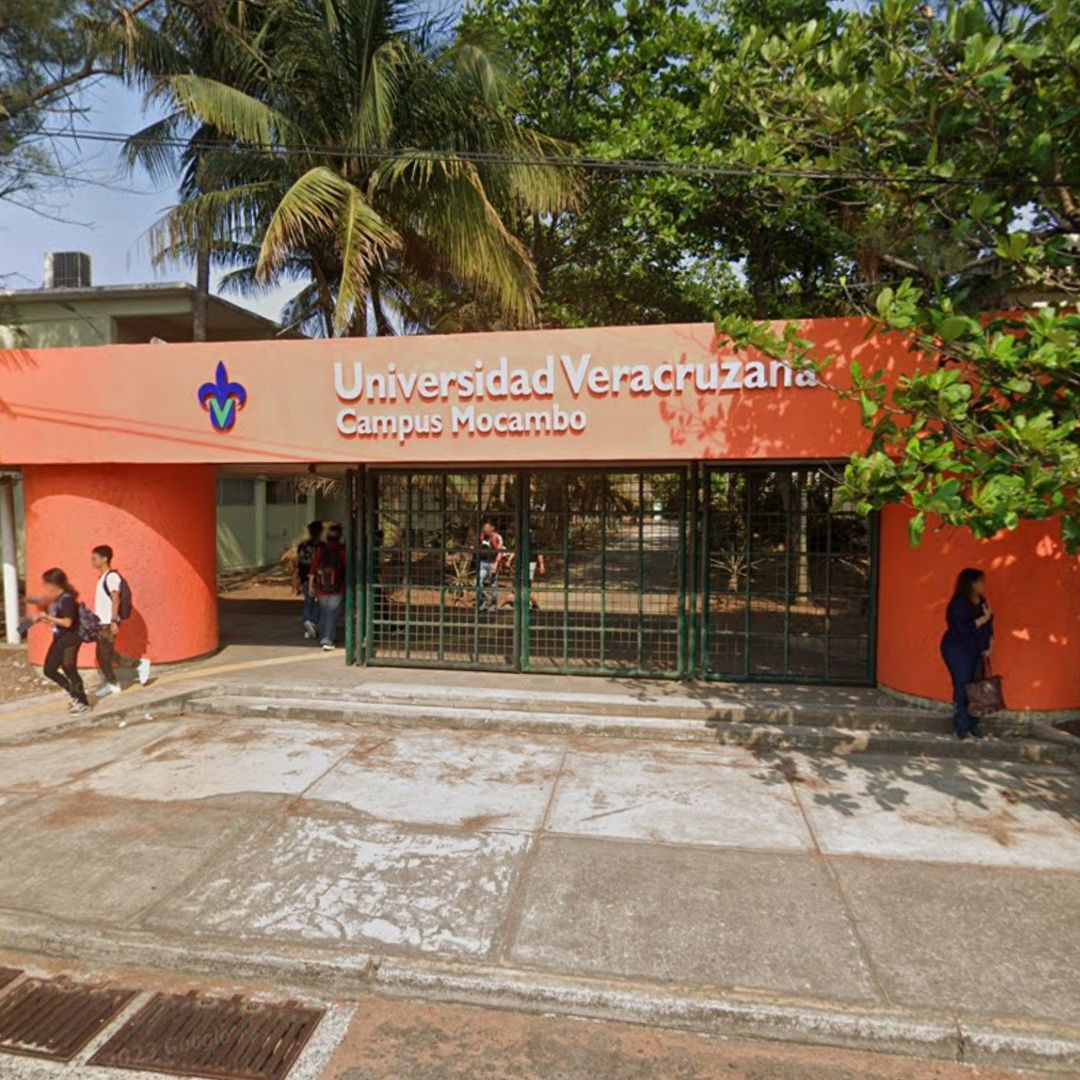Abren Prerregistro de Beca para Estudiantes Universitarios en Veracruz. Foto: MAPS